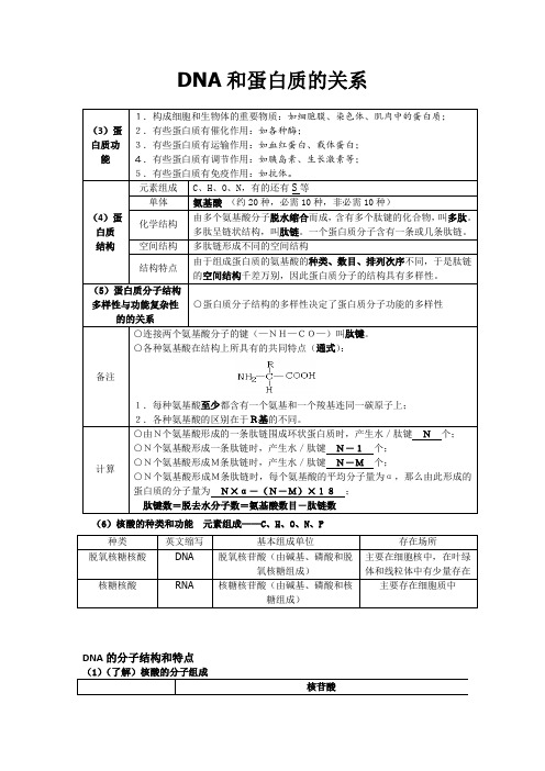 DNA和蛋白质的关系