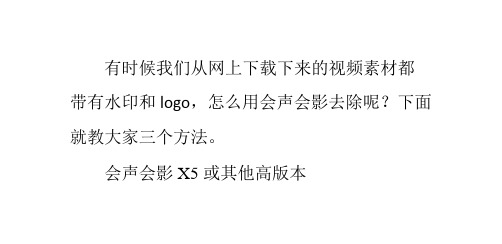 怎么利用会声会影X5去视频里的logo和水印