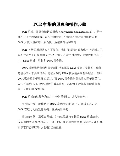 PCR扩增的原理和操作步骤