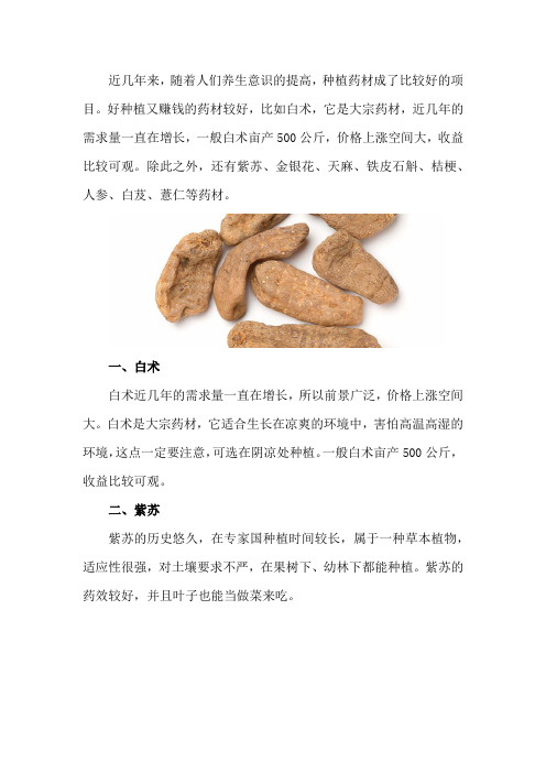 什么药材好种植又赚钱