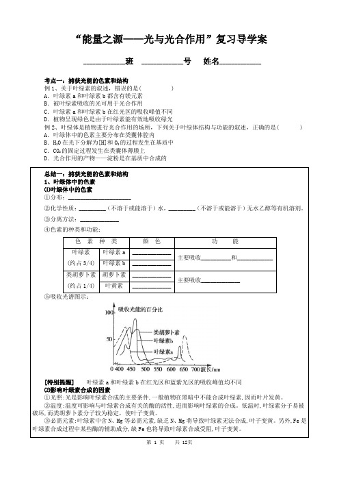 “能量之源——光与光合作用”复习导学案