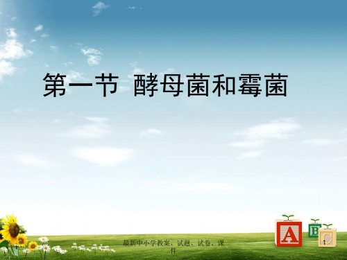 八年级生物上册 5.2.1 酵母菌和霉菌课件(2)(新版)冀教版