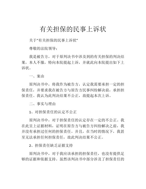 有关担保的民事上诉状 (2)