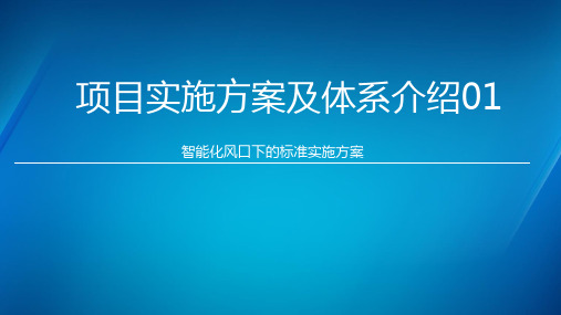 项目实施体系介绍