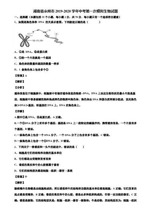 湖南省永州市2019-2020学年中考第一次模拟生物试题含解析