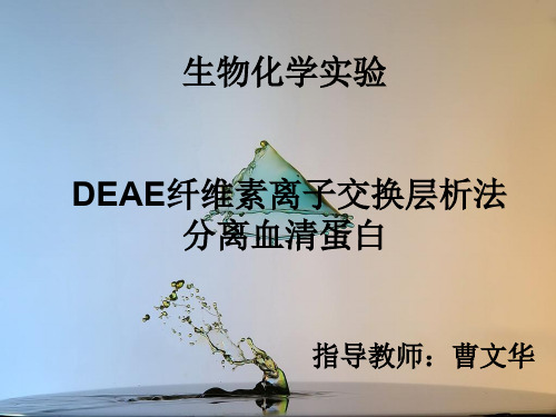 DEAE纤维素离子交换层析法分离血清蛋白