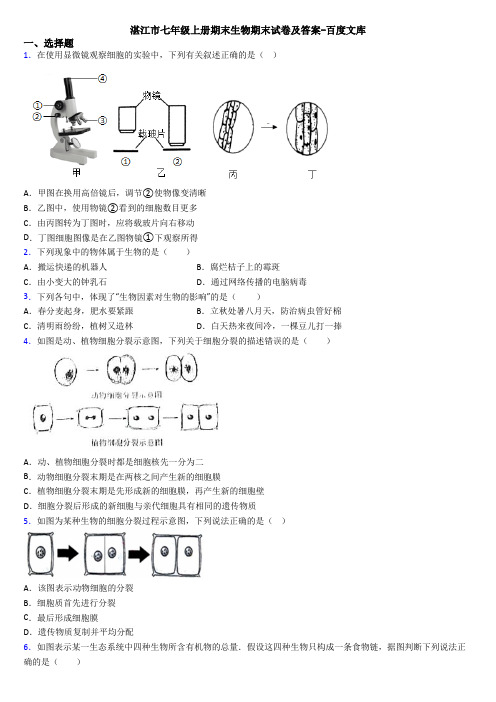 湛江市七年级上册期末生物期末试卷及答案-百度文库