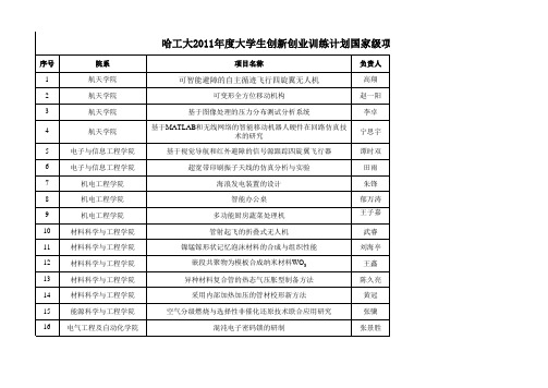 大学生创新创业训练计划级项目公示名单