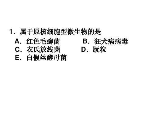 病原微生物第2章细菌的生理