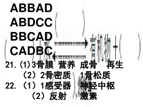 苏科版八年级上册生物 18.3生态系统的自我调节 课件