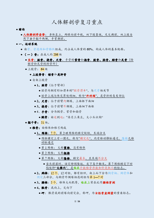 人体解剖学复习重点