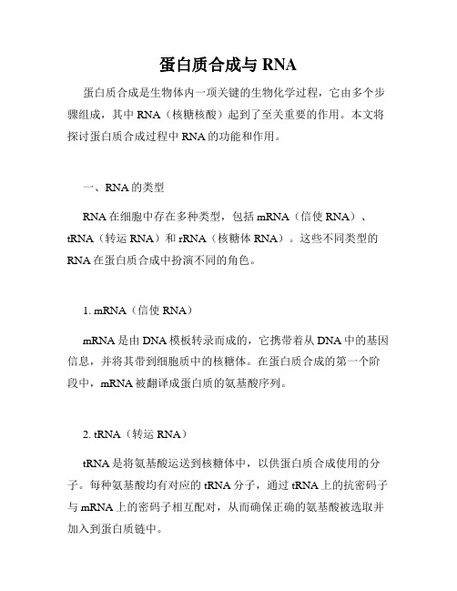 蛋白质合成与RNA