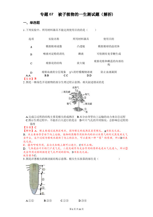 专题07 被子植物的一生-2024年中考《生物》冲刺复习全考点通关(解析版)