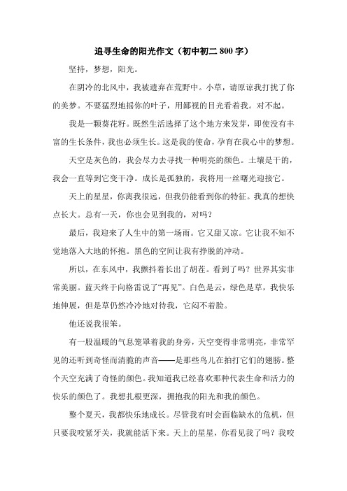 追寻生命的阳光作文(初中初二800字).doc