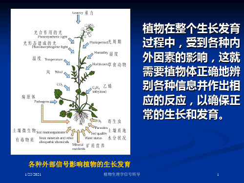 植物生理学信号转导培训课件