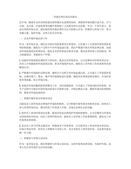 环境治理自查自纠报告