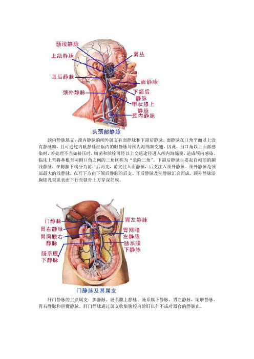 全身静脉轻松记