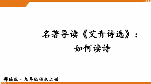 2024年人教版语文九年级上册名著导读《艾青诗选》：如何读诗