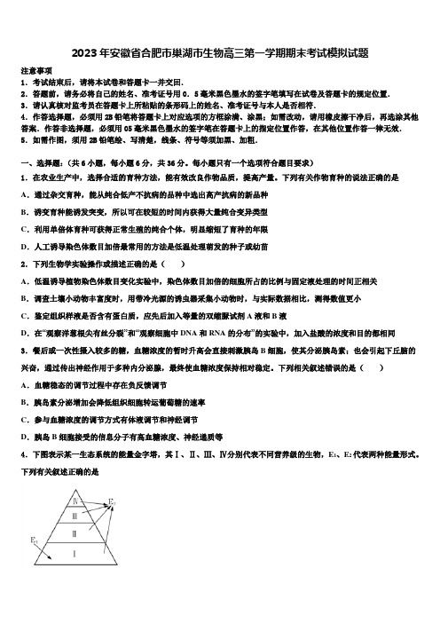 2023年安徽省合肥市巢湖市生物高三第一学期期末考试模拟试题含解析