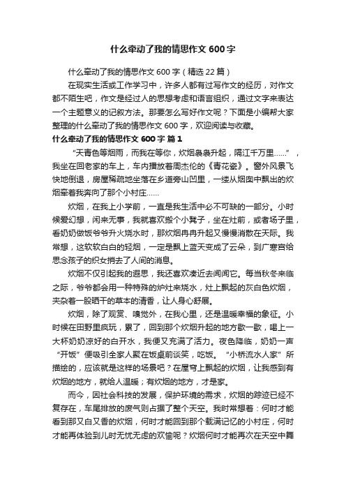 什么牵动了我的情思作文600字