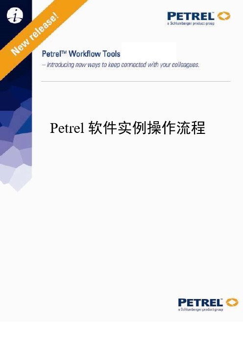 Petrel中文操作手册