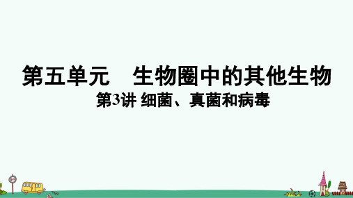 《细菌、真菌和病毒》考点知识梳理