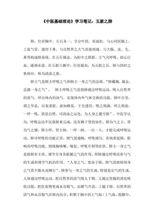 《中医基础理论》学习笔记：五脏之肺