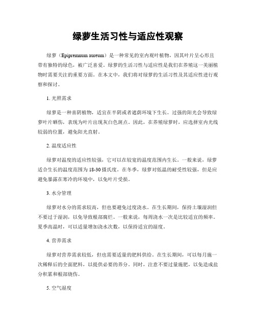 绿萝生活习性与适应性观察