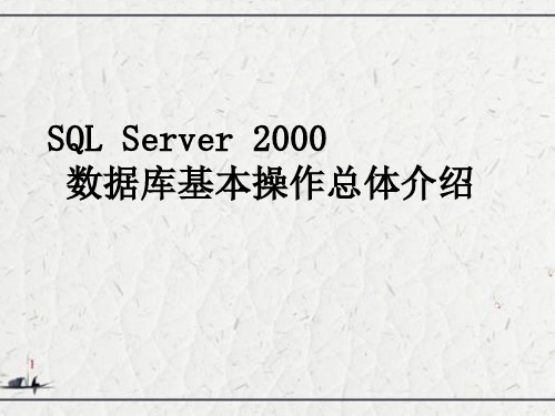 SQL Server 2000数据库基本操作总体介绍