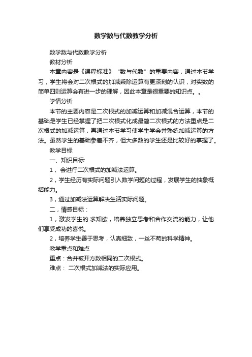 数学数与代数教学分析