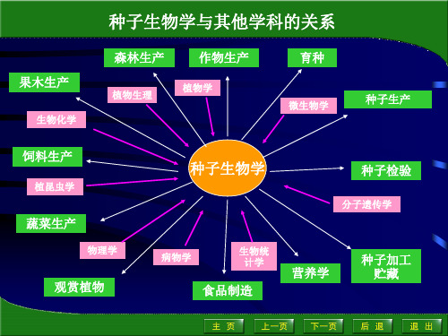 种子形态构造