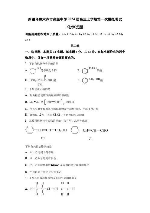 新疆乌鲁木齐市高级中学2024届高三上学期第一次模拟考试 化学试题(含解析)