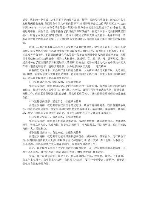 延安红色精神学习心得.docx