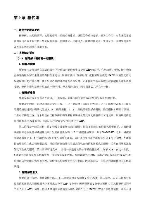 华中农业大学生物化学考研试题库附答案糖代谢