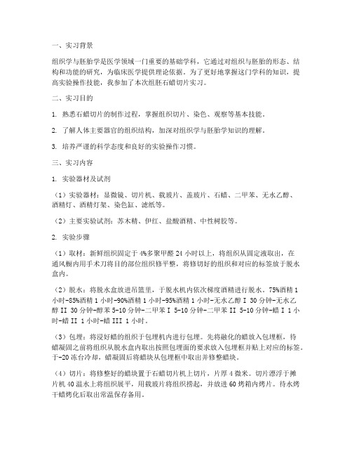 组胚石蜡切片实习报告