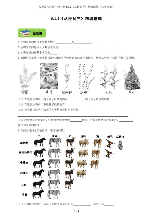 人教版八年级生物上册6.1.2《从种到界》精编精炼(包含答案)