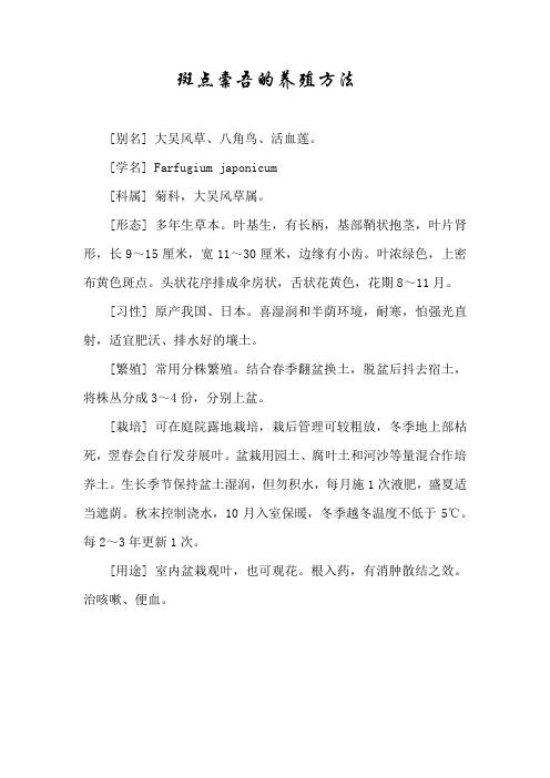 斑点橐吾的养殖方法