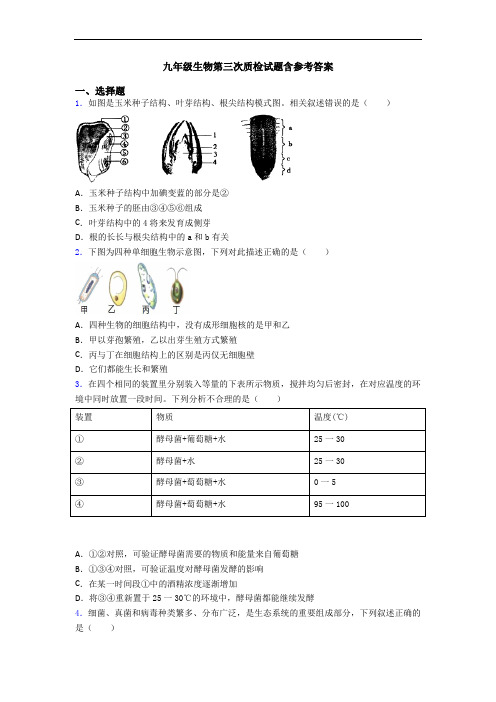 九年级生物第三次质检试题含参考答案