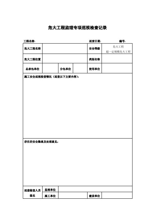 危大工程专项巡视检查记录(范本)