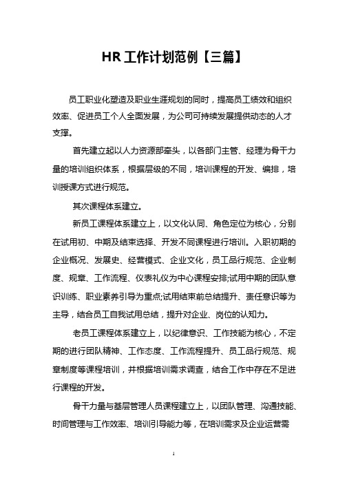 HR工作计划范例
