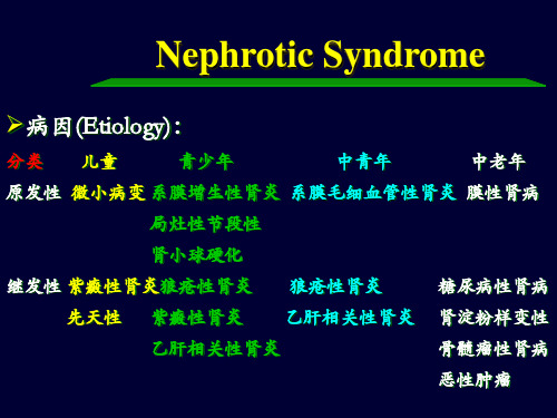 肾病综合征.ppt