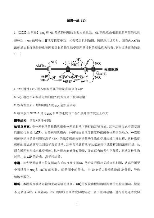 每周一练1