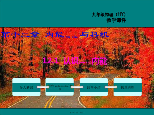 九年级物理上册 第十二章 内能与热机 12.1 认识内能教学课件