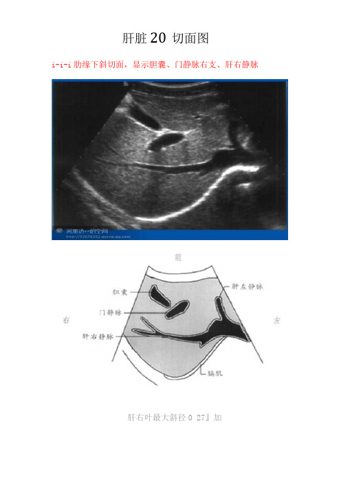 肝脏超声20个切面