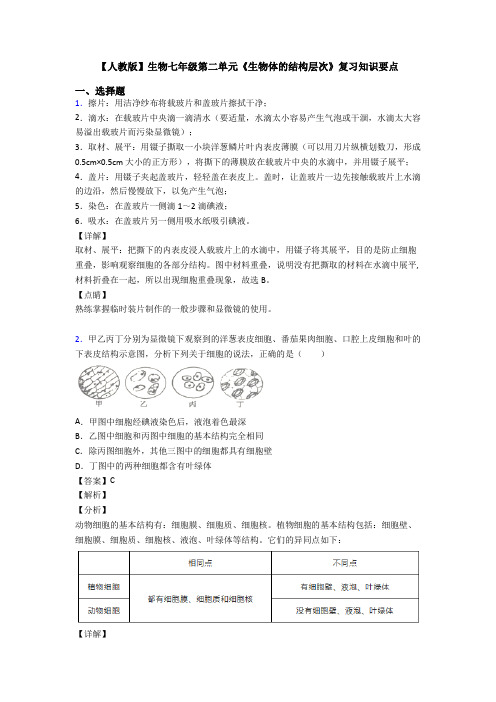 【人教版】生物七年级第二单元《生物体的结构层次》复习知识要点