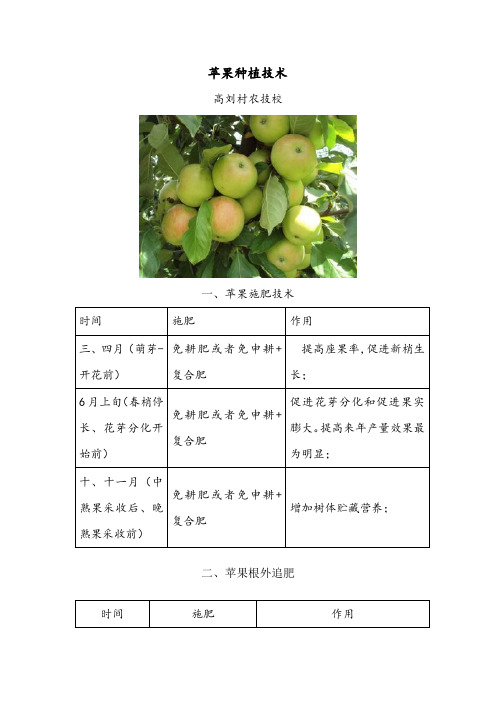 苹果种植技术