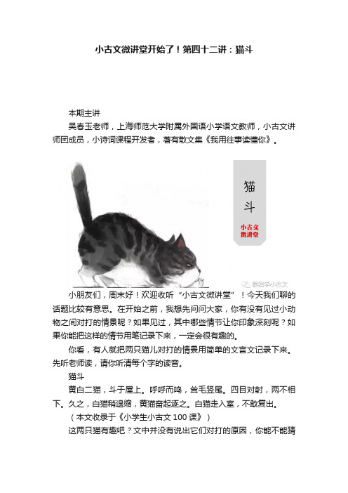 小古文微讲堂开始了！第四十二讲：猫斗