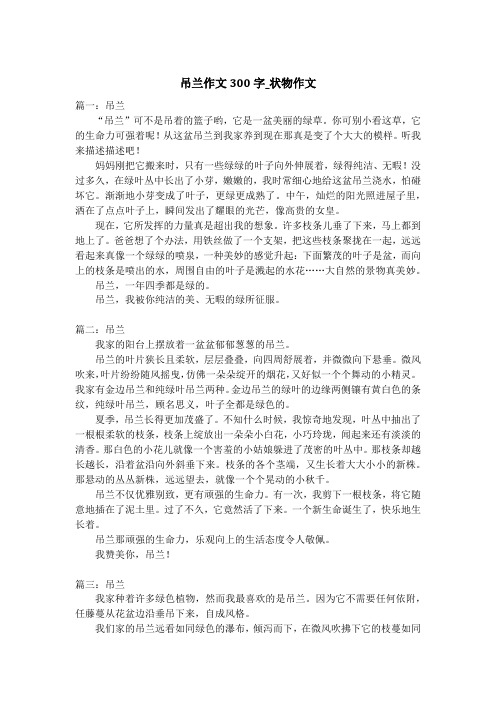 吊兰作文300字_状物作文_2
