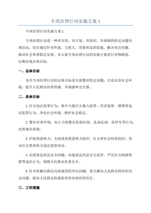 专项治理行动实施方案1