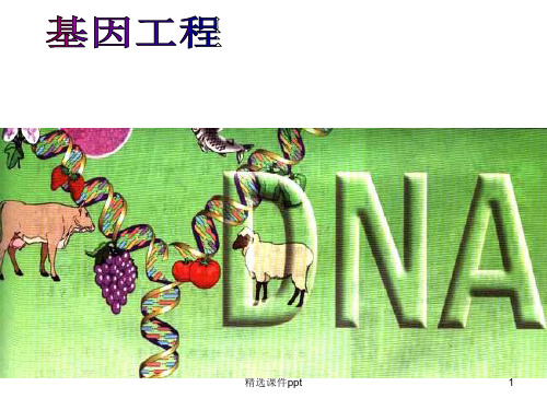 人教版高中生物选修3专题一《基因工程》